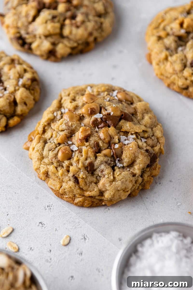 featured 58611