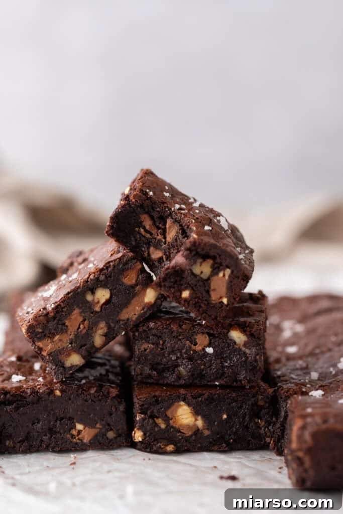 Mastering the World's Best Fudgy Brownies 2 The World's Best Fudgy Brownies Recipe