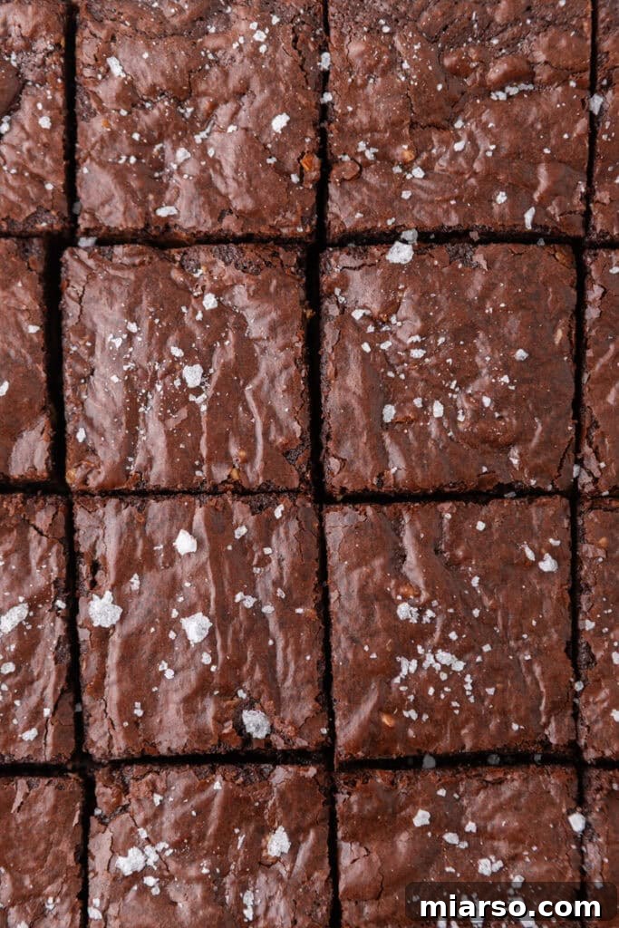 Mastering the World's Best Fudgy Brownies 19 overhead shot of crinkly top brownies