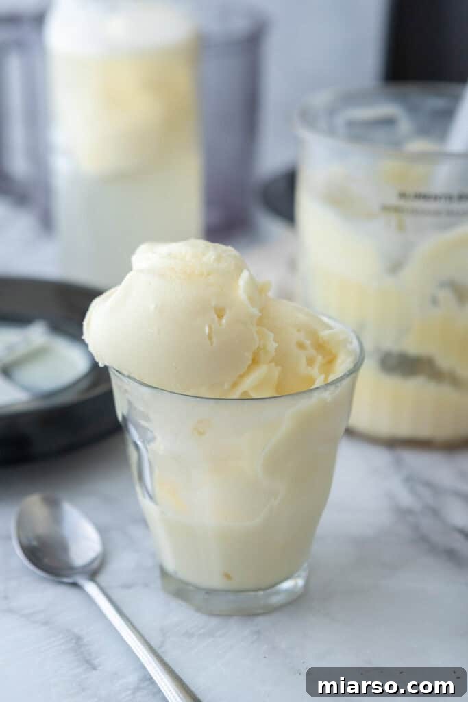 Protein powder ice cream in a clear cup, garnished