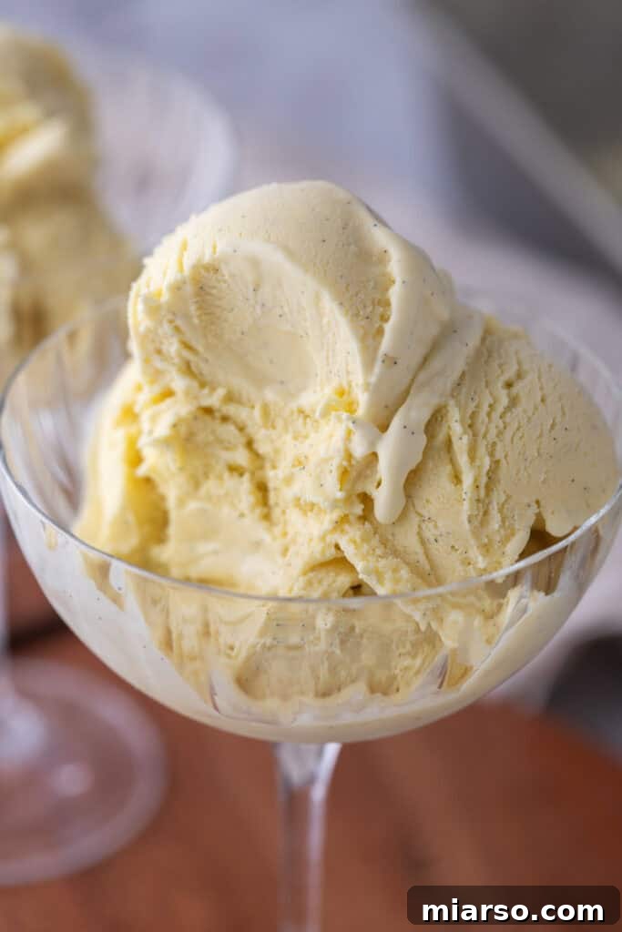 homemade vanilla ice cream recipe in a cup
