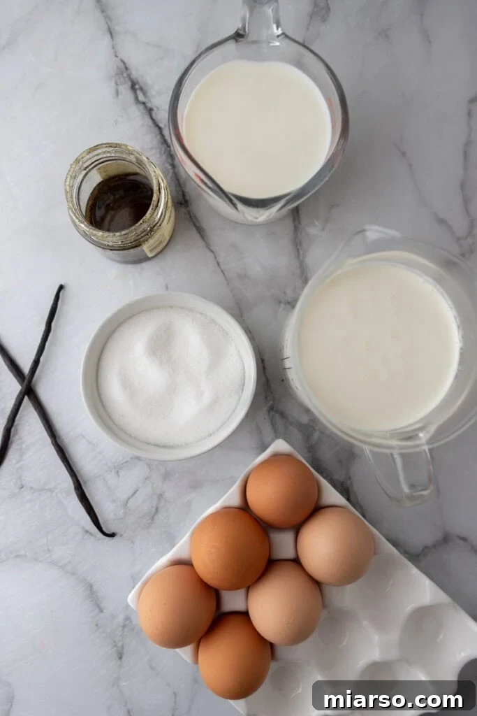 homemade vanilla ice cream recipe ingredients