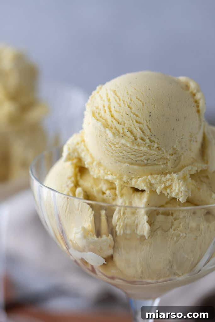 homemade vanilla ice cream recipe in a cup