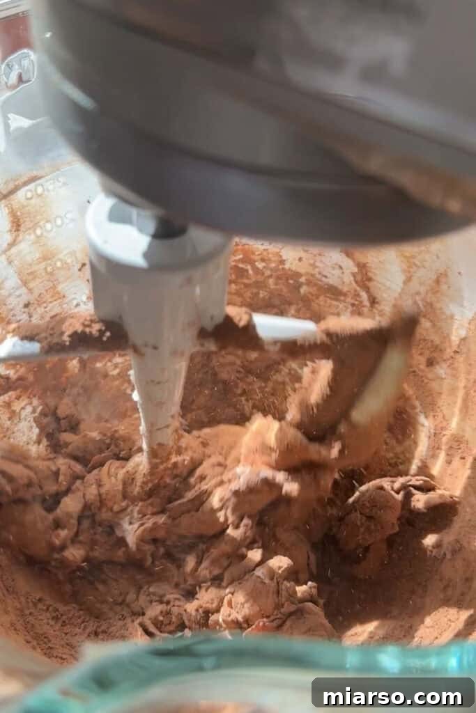 Cocoa powder being added to creamed butter in a mixing bowl.