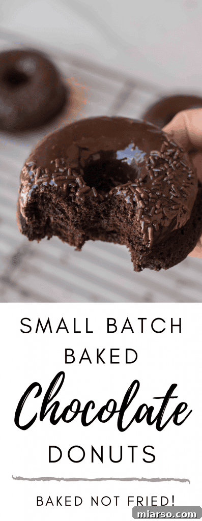 Small batch baked chocolate donuts for Pinterest