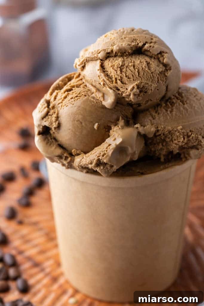 Espresso coffee ice cream recipe served in a glass cup