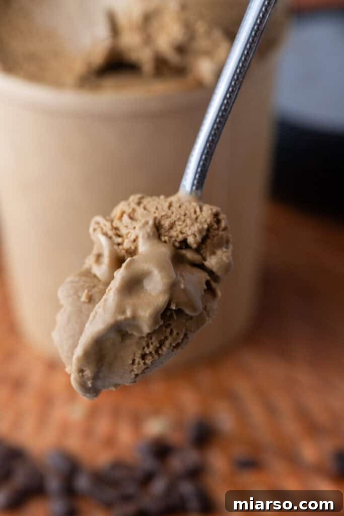 Espresso coffee ice cream recipe on a spoon, showing its smooth texture