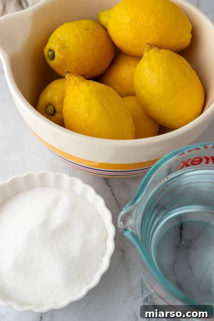 Ingredients for homemade lemonade: fresh lemons, sugar, and water