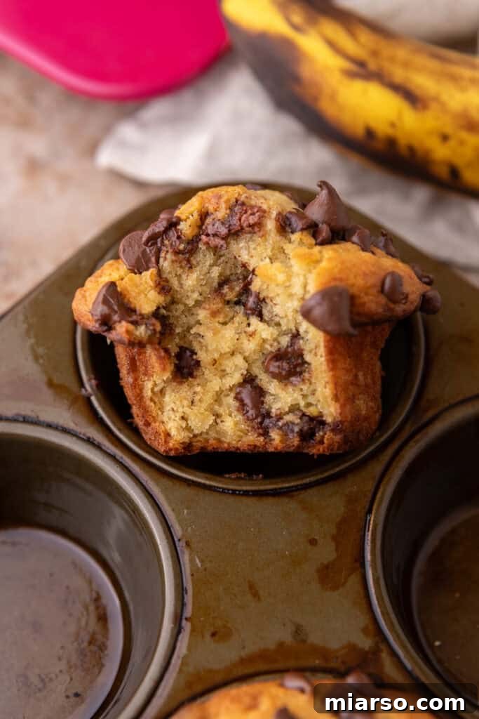 Banana Chocolate Chip Muffins on a pan