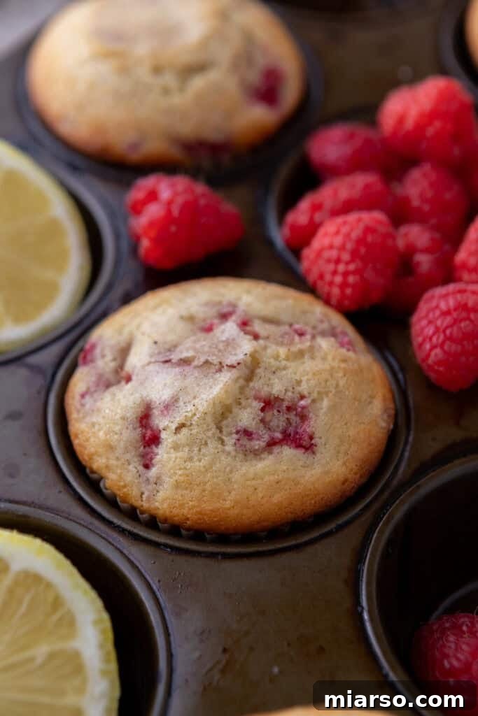 Freshly baked lemon raspberry muffins cooling in the muffin tin.
