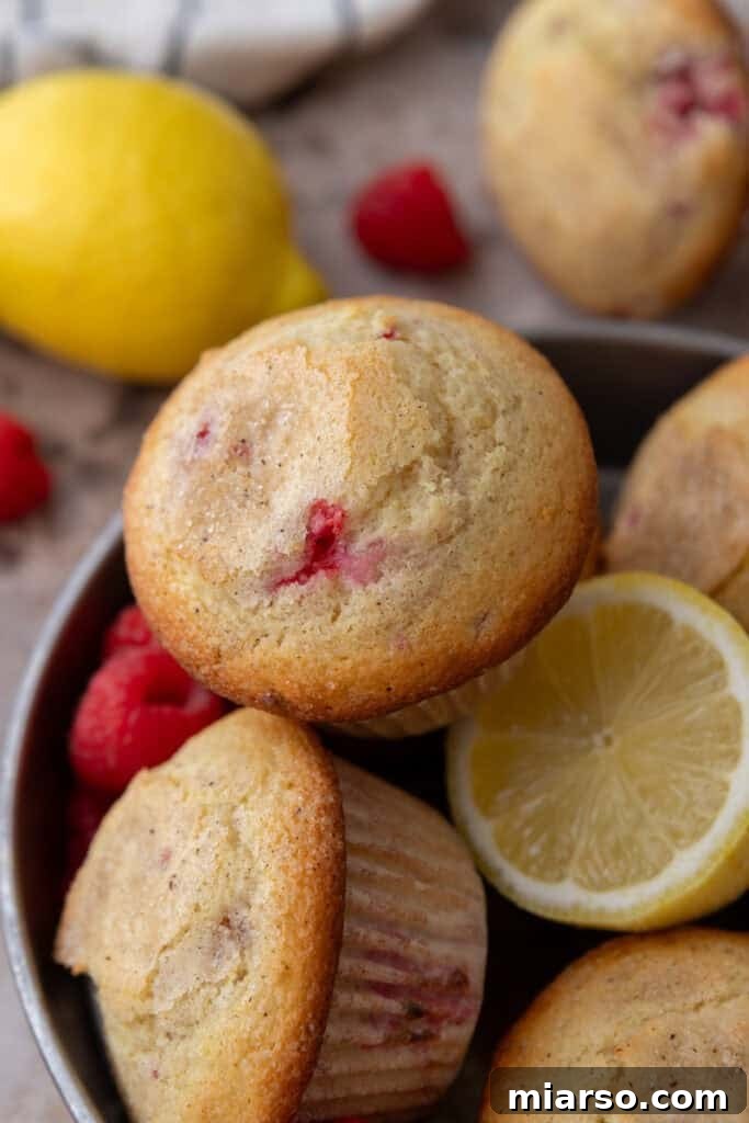 An overhead shot of several lemon raspberry muffins arranged beautifully on a serving plate.