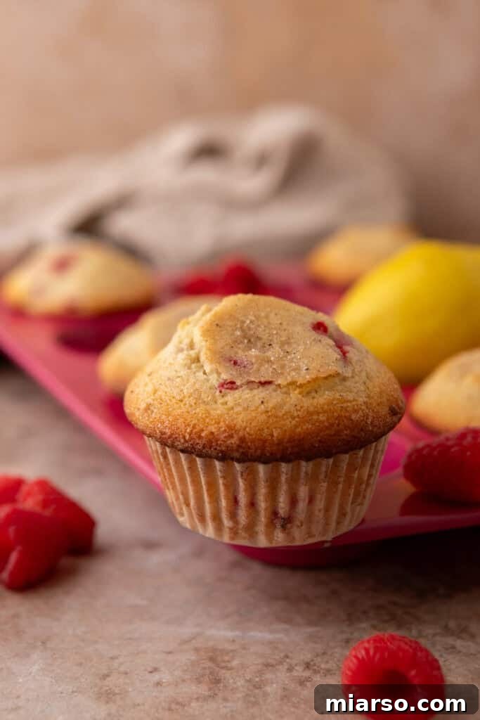 A close-up view of a baked lemon raspberry muffin with a perfect crumb.