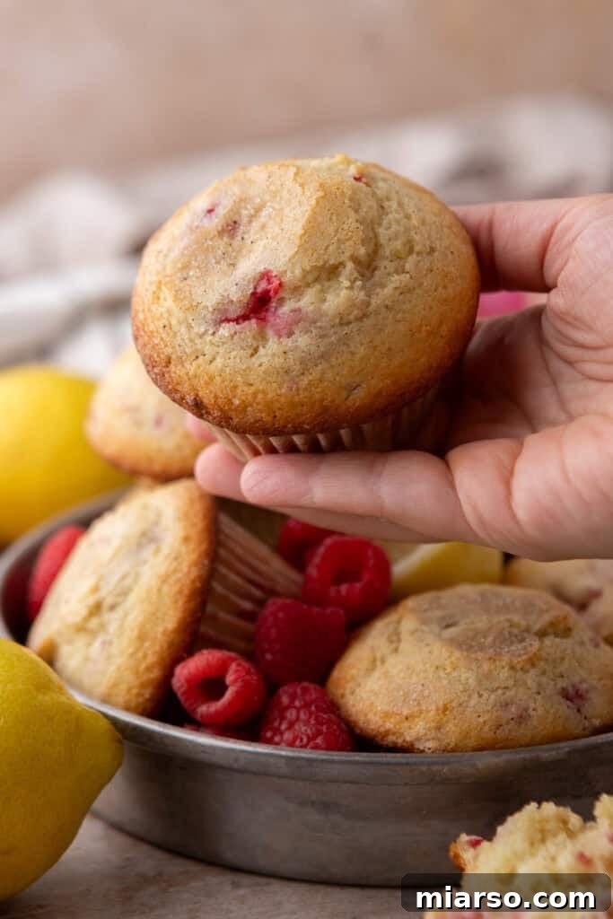 A hand holding up a perfectly baked lemon raspberry muffin, showing its golden-brown top.