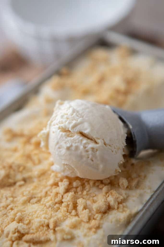 No-Churn Cream Cheese Ice Cream being scooped into a bowl, ready to serve