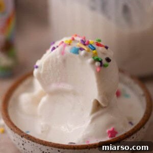 Cottage Cheese Ninja Creami Ice Cream in a bowl