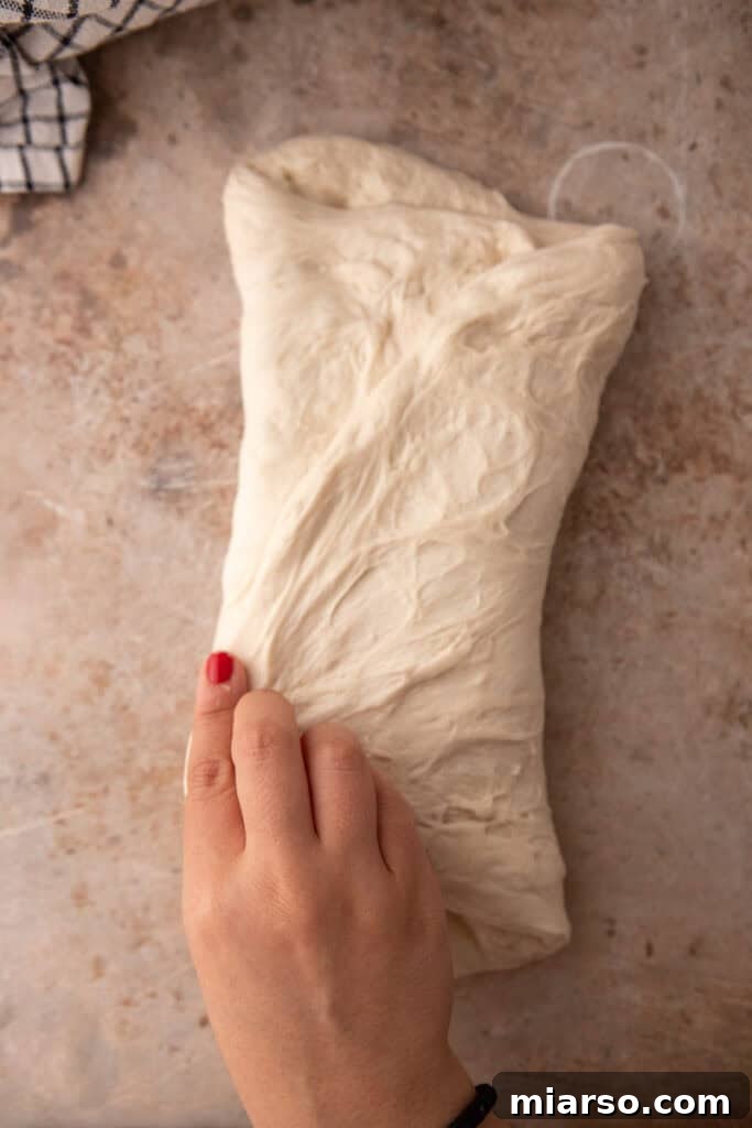 dough lightly pulled and stretched and folded