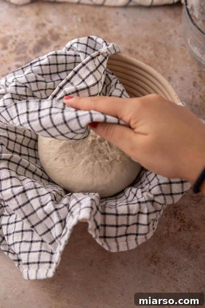 same day sourdough bread dough sitting in a basket