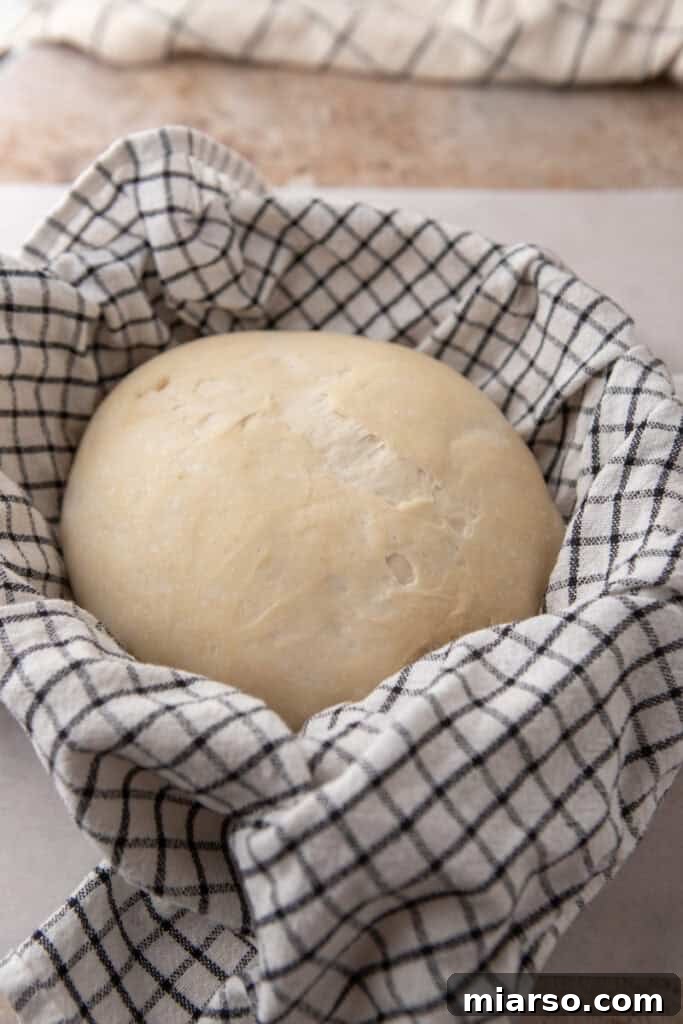 same day sourdough bread dough sitting in a basket