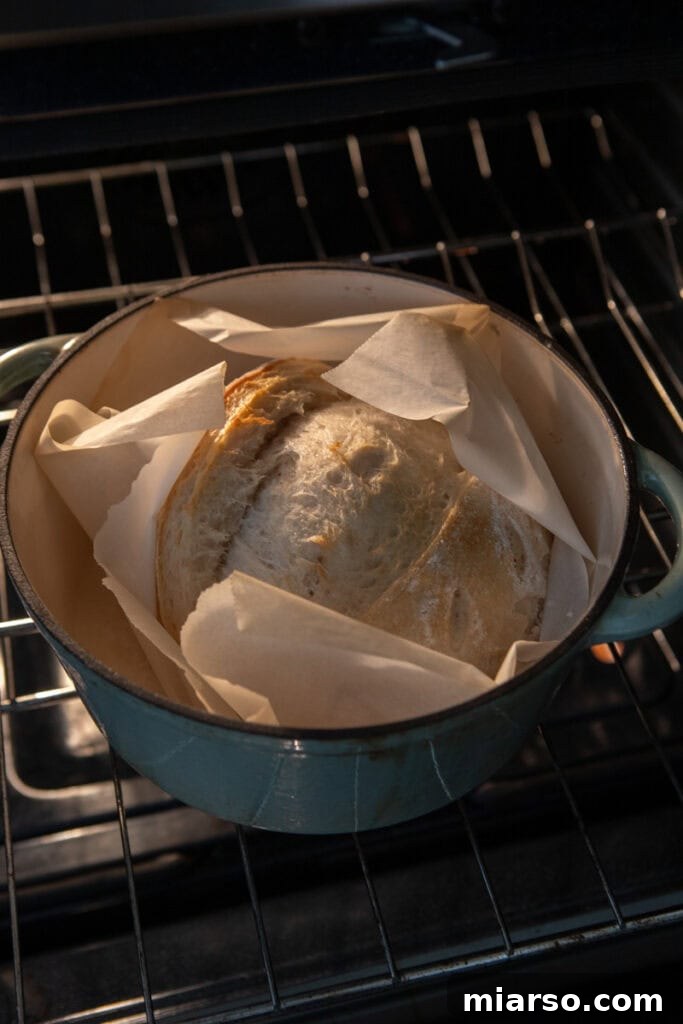 same day sourdough bread being baked