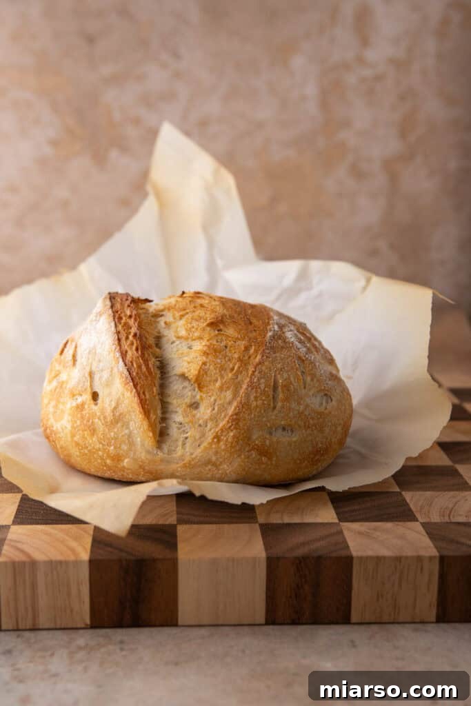 same day sourdough bread recipe on top of parchment paper