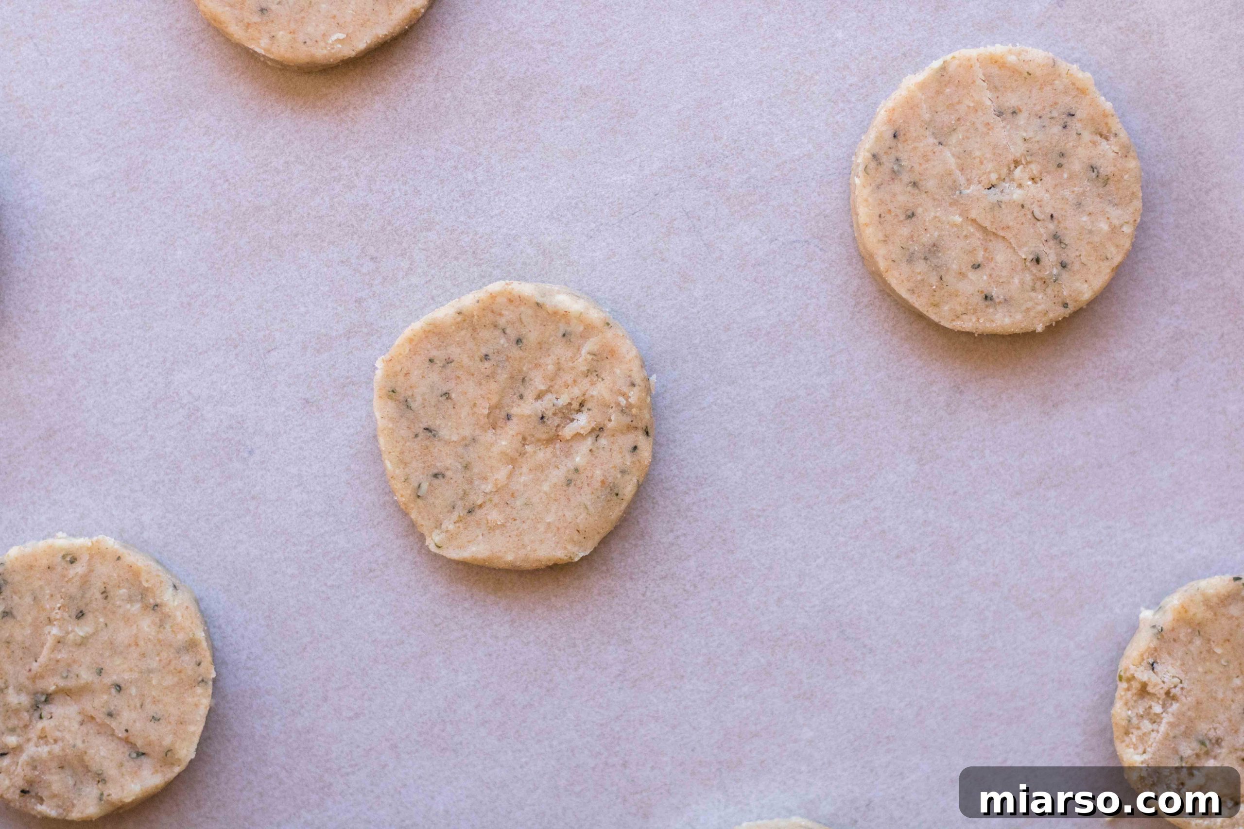 Nutrient-Rich Whole Wheat Sablés with Hemp Hearts 12 img 10790 14 scaled