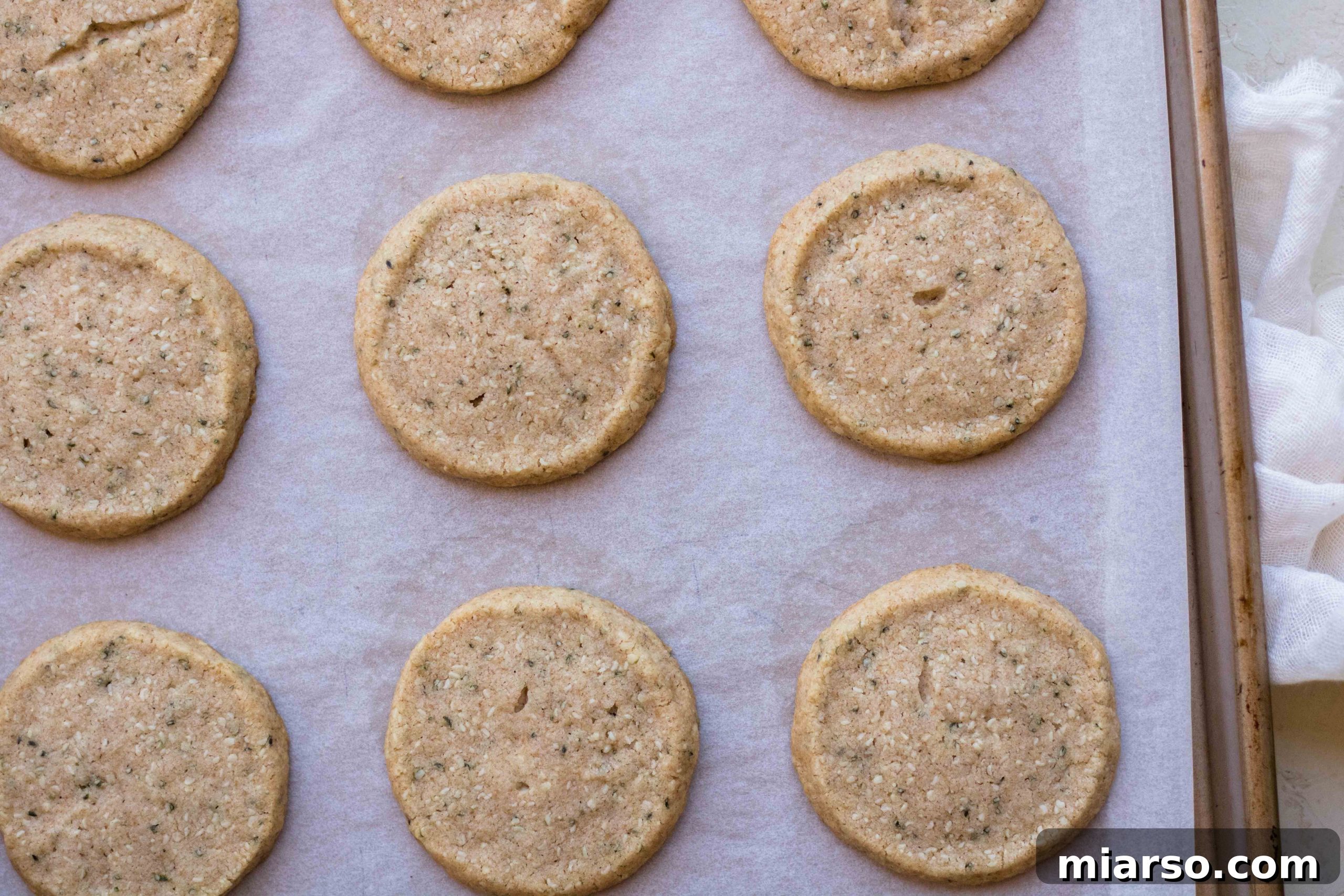 Nutrient-Rich Whole Wheat Sablés with Hemp Hearts 13 img 10790 15 scaled