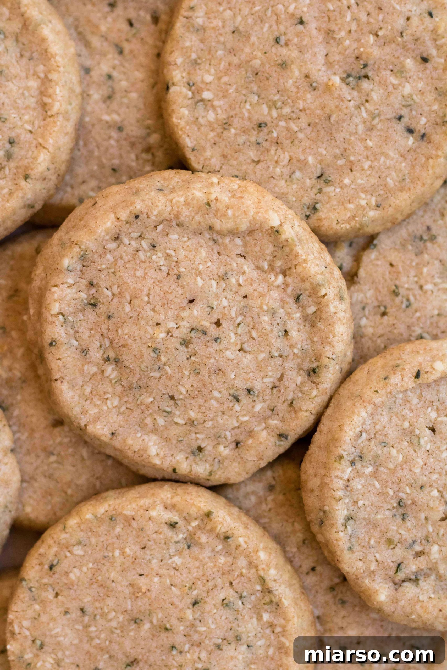 Nutrient-Rich Whole Wheat Sablés with Hemp Hearts 3 Close-up of golden French butter cookies