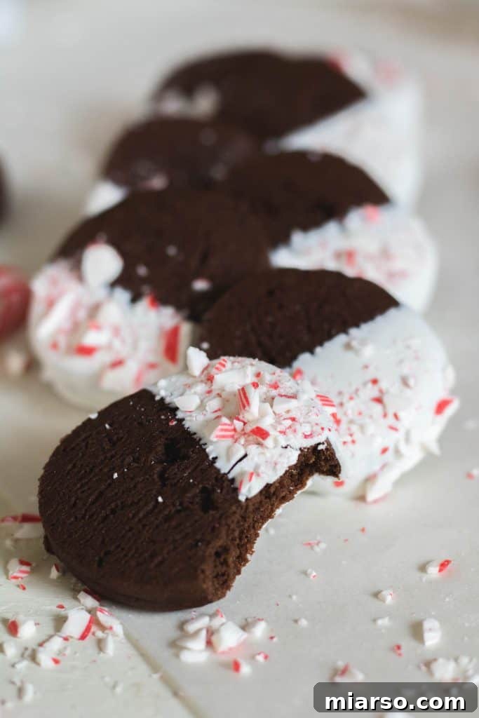 Nutrient-Rich Whole Wheat Sablés with Hemp Hearts 16 Chocolate peppermint crunch slice and bake cookies