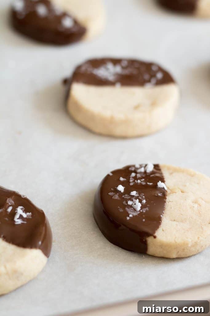 Nutrient-Rich Whole Wheat Sablés with Hemp Hearts 17 Chocolate walnut cut and bake cookies