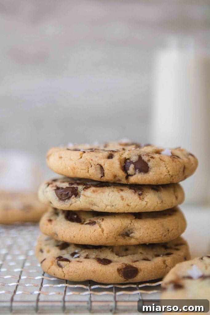 Nutrient-Rich Whole Wheat Sablés with Hemp Hearts 18 chocolate chip cookies without brown sugar