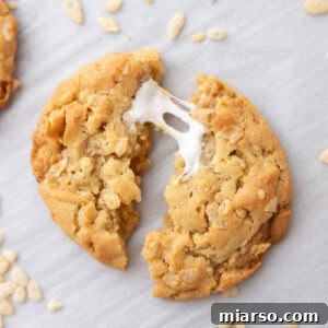 Costco Marshmallow Crispy Cookies