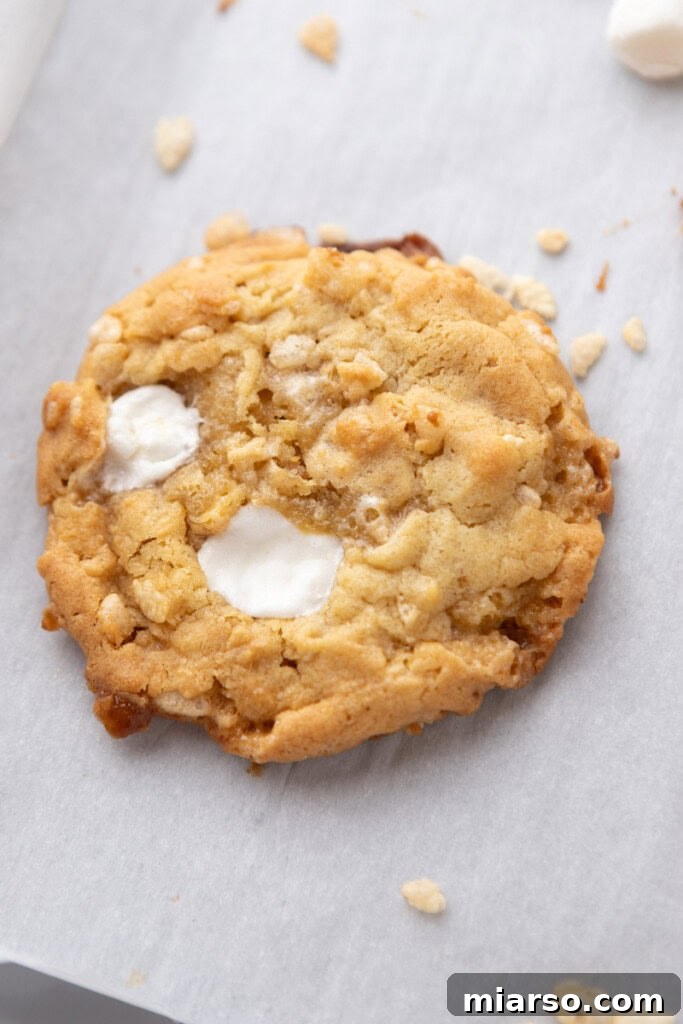 Close-up of baked Costco Marshmallow Crispy Cookies on a wire rack, showing perfectly melted marshmallows and golden brown cookie.