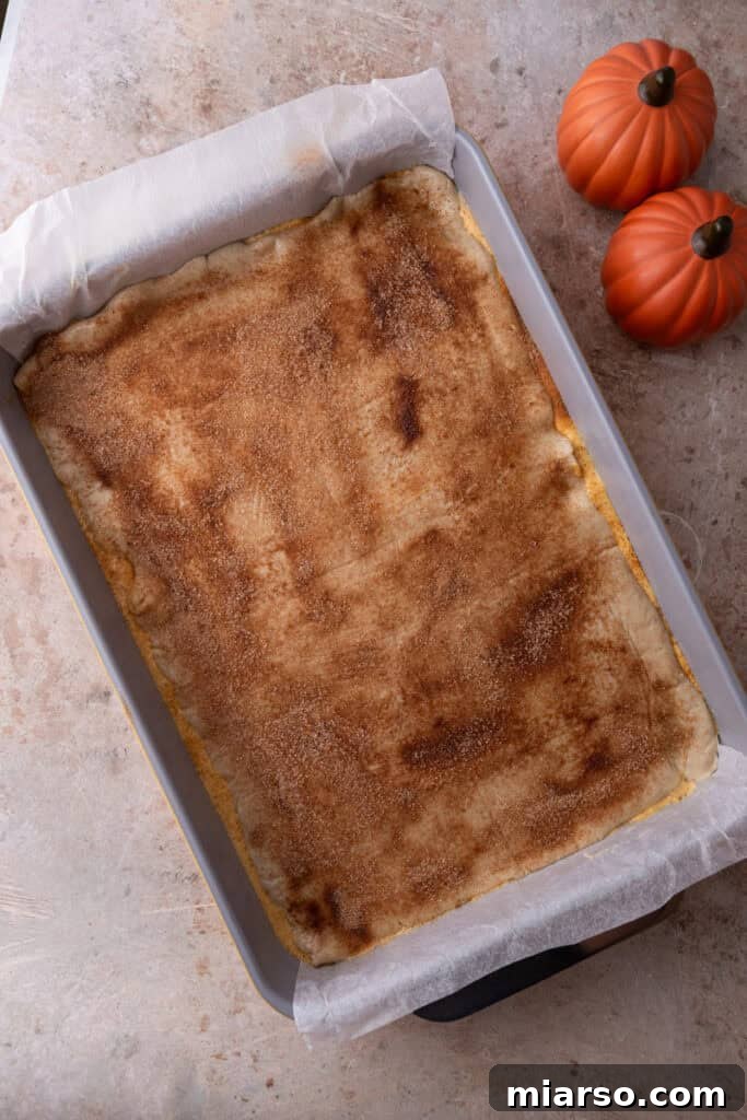 Cinnamon sugar sprinkled over the top croissant dough layer