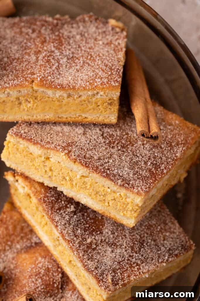 Close-up shot of churro pumpkin cheesecake bars stacked beautifully