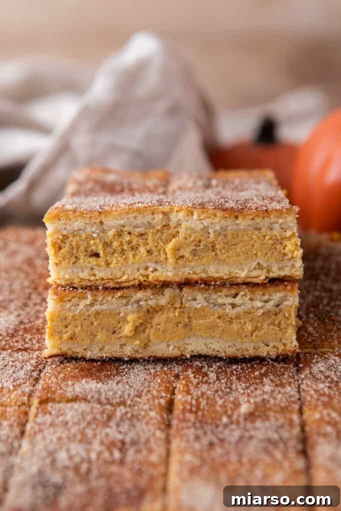 Churro Pumpkin cheesecake bars beautifully arranged for serving