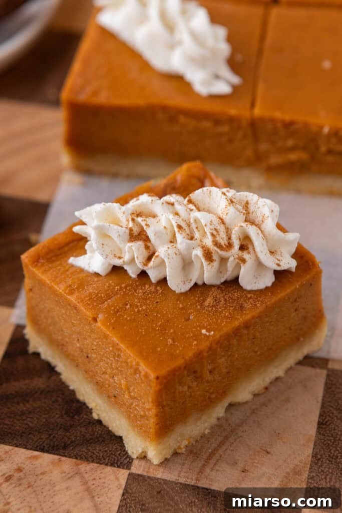 Close-up of a perfectly baked sweet potato pie bar with a golden shortbread crust and creamy, spiced filling, subtly garnished.