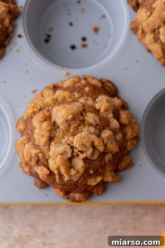 Soft Bakery Pumpkin Muffins Inspired by Panera 13 baked goods in a pan