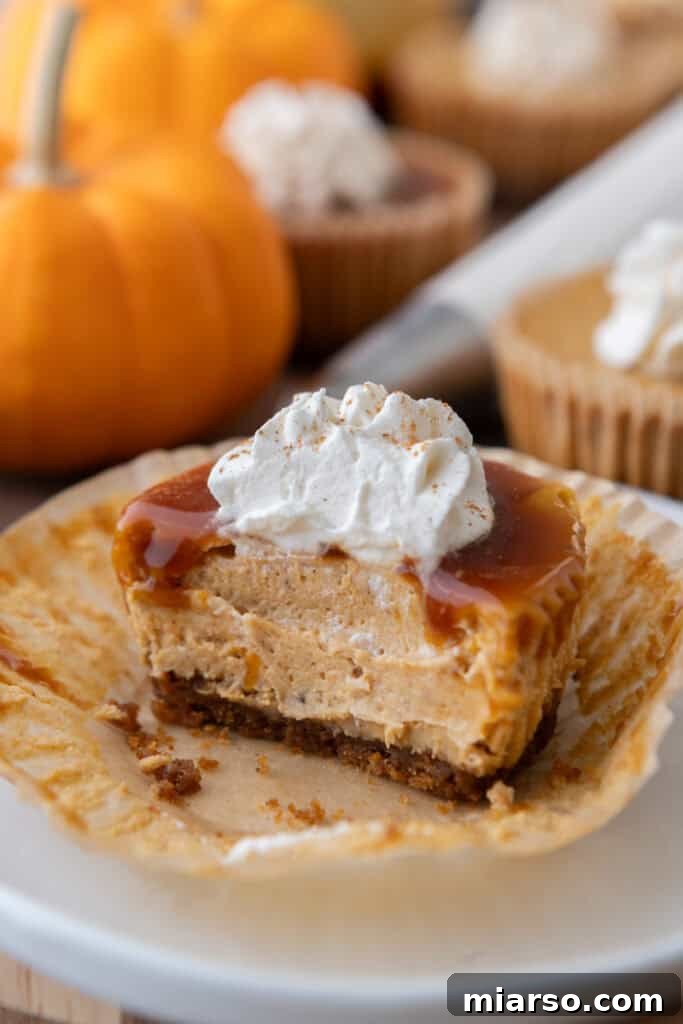 Little Pumpkin Spice Cheesecake Cups 2 Mini Pumpkin Cheesecakes recipe with a bite taken out