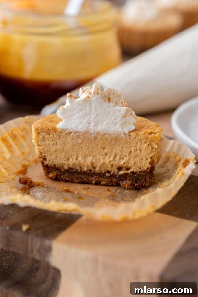 Little Pumpkin Spice Cheesecake Cups 18 Mini Pumpkin Cheesecakes split in half