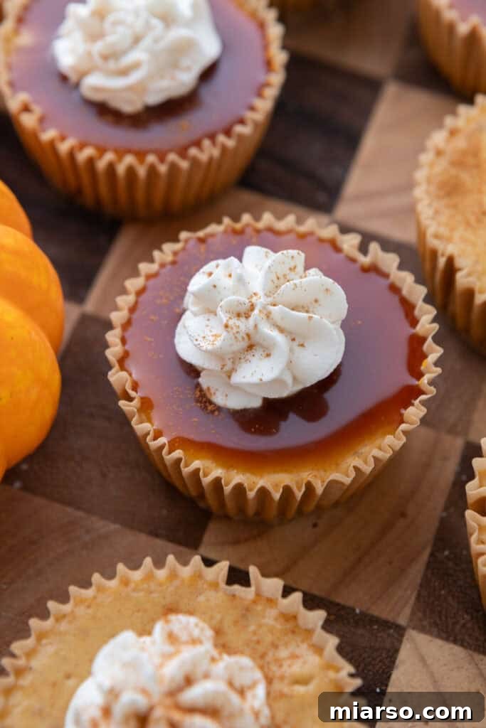 Little Pumpkin Spice Cheesecake Cups 19 Mini Pumpkin Cheesecakes with butterscotch on top