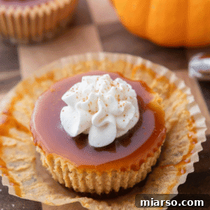 Little Pumpkin Spice Cheesecake Cups 20 Mini pumpkin cheesecake topped with caramel drizzle and a dollop of whipped cream