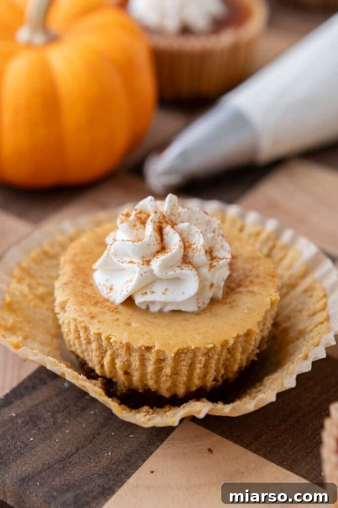 Little Pumpkin Spice Cheesecake Cups 5 Mini Pumpkin Cheesecakes with whipped cream