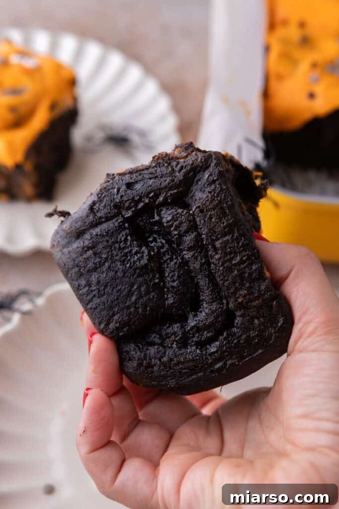 Black Cocoa Cinnamon Rolls being held up by a hand