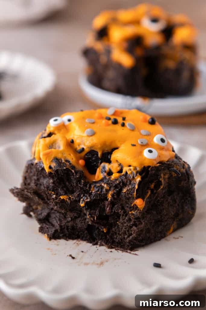 Black Cocoa Cinnamon Rolls on a plate