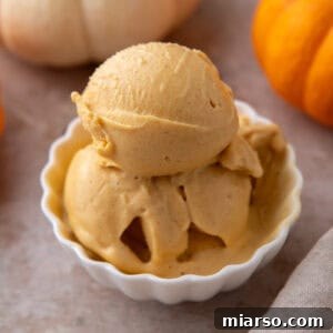 High-protein Ninja Creami pumpkin ice cream in white bowl