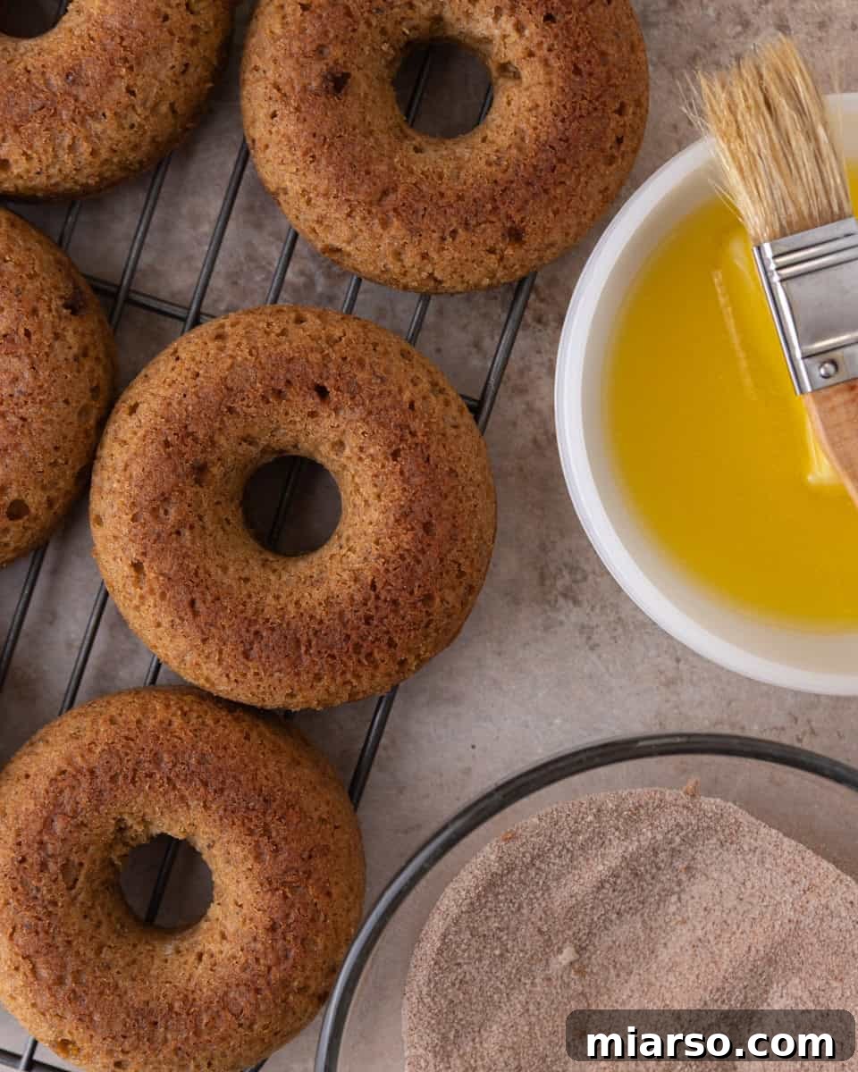 Close-up of a freshly baked cinnamon sugar apple cider donut.