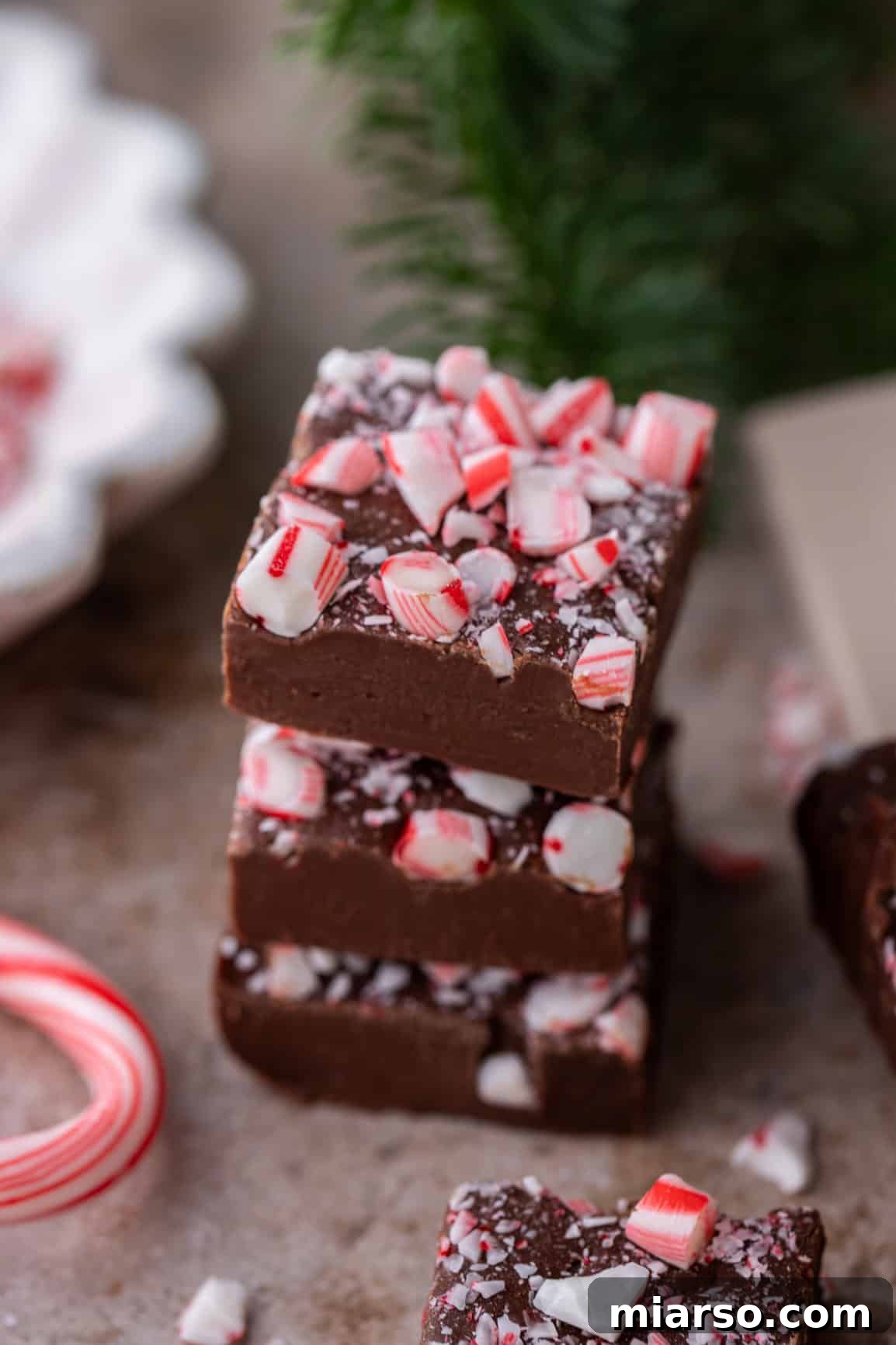 Delicious peppermint chocolate fudge squares, showcasing the festive red and white candy cane bits.