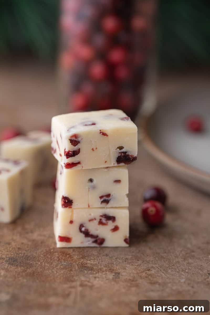 Elegant white chocolate cranberry fudge squares, studded with vibrant ruby red cranberries.