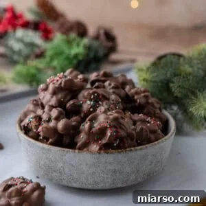 Effortless Slow Cooker Chocolate Peanut Clusters 11 A bowl of delightful crockpot candy chocolate peanut clusters, beautifully topped with festive red, green, and white sprinkles, showcasing an easy and appealing holiday treat.