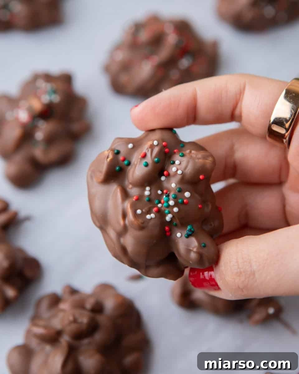 Effortless Slow Cooker Chocolate Peanut Clusters 7 A hand gently holding a finished chocolate crockpot candy cluster, showcasing its delightful sprinkles and perfect form.